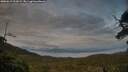 ./images/calvert/fitz-hugh-hecate/20250619/fitz-hugh-hecate20250619_211008M.jpg
