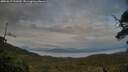 ./images/calvert/fitz-hugh-hecate/20250619/fitz-hugh-hecate20250619_212009M.jpg