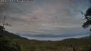 ./images/calvert/fitz-hugh-hecate/20250619/fitz-hugh-hecate20250619_212508M.jpg