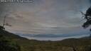 ./images/calvert/fitz-hugh-hecate/20250619/fitz-hugh-hecate20250619_213008M.jpg