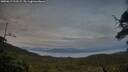 ./images/calvert/fitz-hugh-hecate/20250619/fitz-hugh-hecate20250619_213508M.jpg