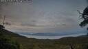 ./images/calvert/fitz-hugh-hecate/20250619/fitz-hugh-hecate20250619_214507M.jpg