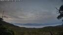 ./images/calvert/fitz-hugh-hecate/20250619/fitz-hugh-hecate20250619_215009M.jpg