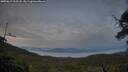 ./images/calvert/fitz-hugh-hecate/20250619/fitz-hugh-hecate20250619_215508M.jpg