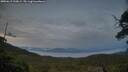 ./images/calvert/fitz-hugh-hecate/20250619/fitz-hugh-hecate20250619_220009M.jpg