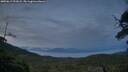 ./images/calvert/fitz-hugh-hecate/20250619/fitz-hugh-hecate20250619_221008M.jpg