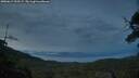 ./images/calvert/fitz-hugh-hecate/20250619/fitz-hugh-hecate20250619_222507M.jpg