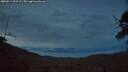 ./images/calvert/fitz-hugh-hecate/20250619/fitz-hugh-hecate20250619_223508M.jpg