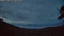 ./images/calvert/fitz-hugh-hecate/20250619/fitz-hugh-hecate20250619_224008M.jpg