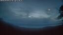 ./images/calvert/fitz-hugh-hecate/20250620/fitz-hugh-hecate20250620_042507M.jpg