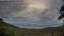 ./images/calvert/fitz-hugh-hecate/20250620/fitz-hugh-hecate20250620_052509M.jpg