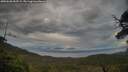 ./images/calvert/fitz-hugh-hecate/20250620/fitz-hugh-hecate20250620_053509M.jpg