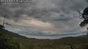 ./images/calvert/fitz-hugh-hecate/20250620/fitz-hugh-hecate20250620_054008M.jpg