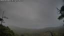 ./images/calvert/fitz-hugh-hecate/20250620/fitz-hugh-hecate20250620_060011M.jpg