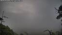 ./images/calvert/fitz-hugh-hecate/20250620/fitz-hugh-hecate20250620_060509M.jpg