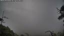 ./images/calvert/fitz-hugh-hecate/20250620/fitz-hugh-hecate20250620_061010M.jpg
