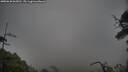 ./images/calvert/fitz-hugh-hecate/20250620/fitz-hugh-hecate20250620_062010M.jpg