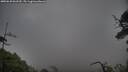 ./images/calvert/fitz-hugh-hecate/20250620/fitz-hugh-hecate20250620_062510M.jpg