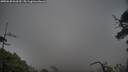 ./images/calvert/fitz-hugh-hecate/20250620/fitz-hugh-hecate20250620_063510M.jpg