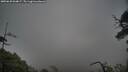 ./images/calvert/fitz-hugh-hecate/20250620/fitz-hugh-hecate20250620_064007M.jpg