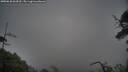 ./images/calvert/fitz-hugh-hecate/20250620/fitz-hugh-hecate20250620_064510M.jpg