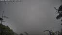 ./images/calvert/fitz-hugh-hecate/20250620/fitz-hugh-hecate20250620_065510M.jpg