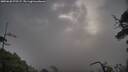 ./images/calvert/fitz-hugh-hecate/20250620/fitz-hugh-hecate20250620_070507M.jpg