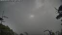./images/calvert/fitz-hugh-hecate/20250620/fitz-hugh-hecate20250620_071509M.jpg