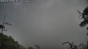 ./images/calvert/fitz-hugh-hecate/20250620/fitz-hugh-hecate20250620_072010M.jpg