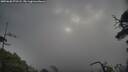 ./images/calvert/fitz-hugh-hecate/20250620/fitz-hugh-hecate20250620_072508M.jpg
