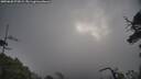 ./images/calvert/fitz-hugh-hecate/20250620/fitz-hugh-hecate20250620_073009M.jpg