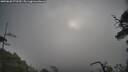 ./images/calvert/fitz-hugh-hecate/20250620/fitz-hugh-hecate20250620_073510M.jpg