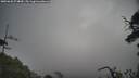 ./images/calvert/fitz-hugh-hecate/20250620/fitz-hugh-hecate20250620_074010M.jpg