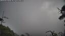 ./images/calvert/fitz-hugh-hecate/20250620/fitz-hugh-hecate20250620_074510M.jpg