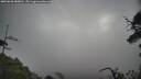 ./images/calvert/fitz-hugh-hecate/20250620/fitz-hugh-hecate20250620_080011M.jpg