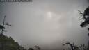 ./images/calvert/fitz-hugh-hecate/20250620/fitz-hugh-hecate20250620_080509M.jpg