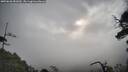 ./images/calvert/fitz-hugh-hecate/20250620/fitz-hugh-hecate20250620_081010M.jpg