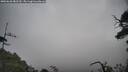 ./images/calvert/fitz-hugh-hecate/20250620/fitz-hugh-hecate20250620_082510M.jpg