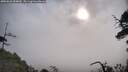 ./images/calvert/fitz-hugh-hecate/20250620/fitz-hugh-hecate20250620_084010M.jpg