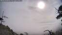 ./images/calvert/fitz-hugh-hecate/20250620/fitz-hugh-hecate20250620_085512M.jpg