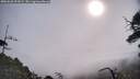 ./images/calvert/fitz-hugh-hecate/20250620/fitz-hugh-hecate20250620_091009M.jpg