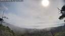 ./images/calvert/fitz-hugh-hecate/20250620/fitz-hugh-hecate20250620_092010M.jpg
