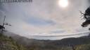 ./images/calvert/fitz-hugh-hecate/20250620/fitz-hugh-hecate20250620_092509M.jpg