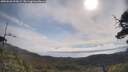 ./images/calvert/fitz-hugh-hecate/20250620/fitz-hugh-hecate20250620_093009M.jpg