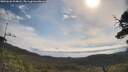 ./images/calvert/fitz-hugh-hecate/20250620/fitz-hugh-hecate20250620_094008M.jpg