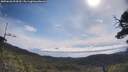 ./images/calvert/fitz-hugh-hecate/20250620/fitz-hugh-hecate20250620_094510M.jpg