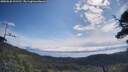 ./images/calvert/fitz-hugh-hecate/20250620/fitz-hugh-hecate20250620_101510M.jpg