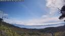 ./images/calvert/fitz-hugh-hecate/20250620/fitz-hugh-hecate20250620_103508M.jpg