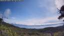 ./images/calvert/fitz-hugh-hecate/20250620/fitz-hugh-hecate20250620_104010M.jpg