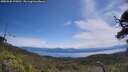 ./images/calvert/fitz-hugh-hecate/20250620/fitz-hugh-hecate20250620_120012M.jpg